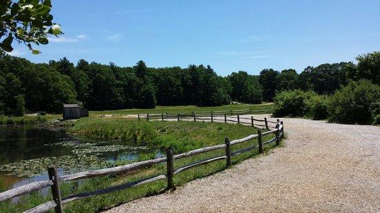 The Nature Trail and Cranberry Bog